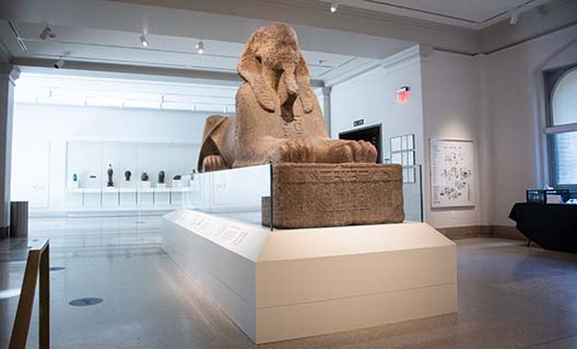 Penn Museum Building Transformation